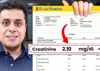 Your Blood Test Results Explained (LFT, KFT, Thyroid)– Health Guide