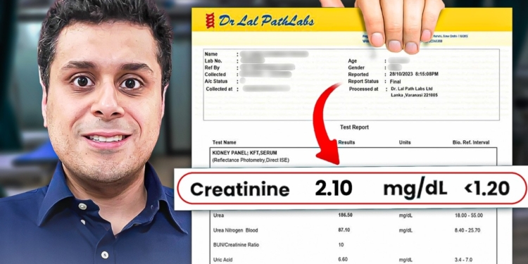 Your Blood Test Results Explained (LFT, KFT, Thyroid)– Health Guide