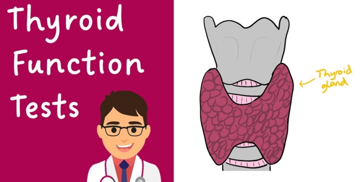 Thyroid Function Tests (TFTs) explained | COMPLETE GUIDE in 4 minutes!