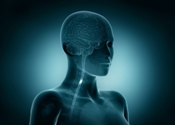 Workplace factors - Stress - Go Home Healthy