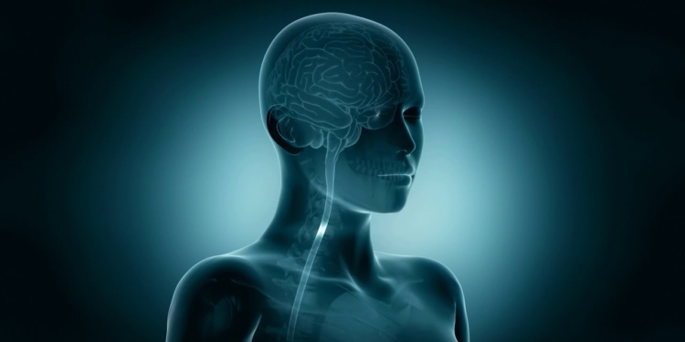 Workplace factors - Stress - Go Home Healthy