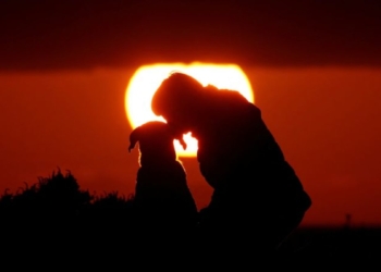 Genetic study identifies earliest-known dog, dating to 15,800 years ago