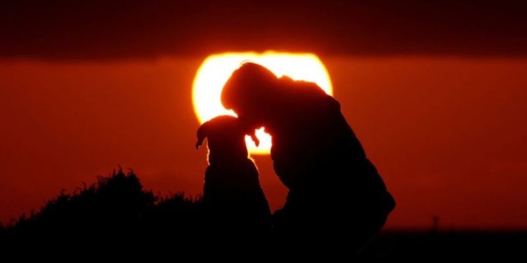 Genetic study identifies earliest-known dog, dating to 15,800 years ago