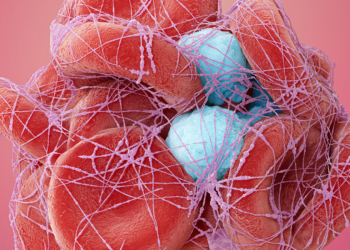 Apixaban Snags a Win in Head-to-Head Trial of Direct Oral Anticoagulants