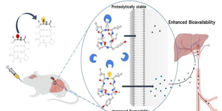 As peptide therapy becomes a popular trend, experts call for caution