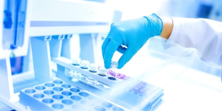 Blood biomarker may help predict woman's dementia risk 25 years before symptoms: Study