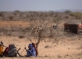 Climate change hits women hardest, funding support inadequate: UNGCNI