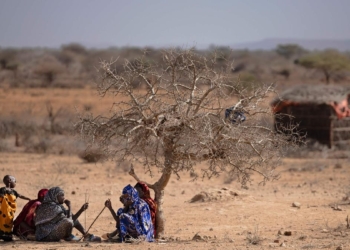 Climate change hits women hardest, funding support inadequate: UNGCNI