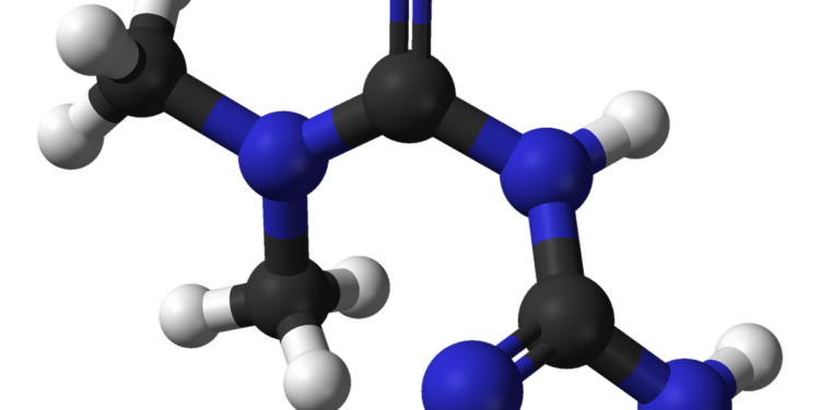 Common diabetes drug works by acting on brain, study shows