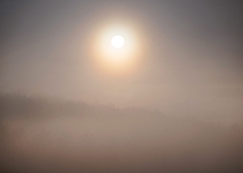 Could pollution be affecting our mental health?