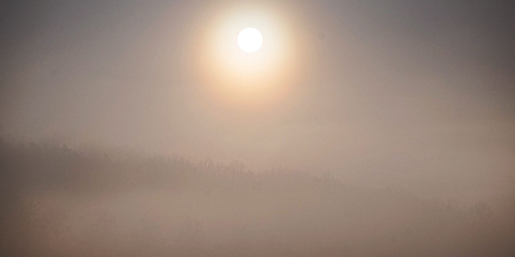 Could pollution be affecting our mental health?