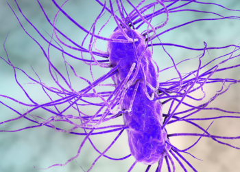 Dementia Risk Rises After Severe Infection