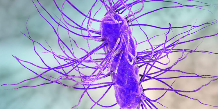 Dementia Risk Rises After Severe Infection