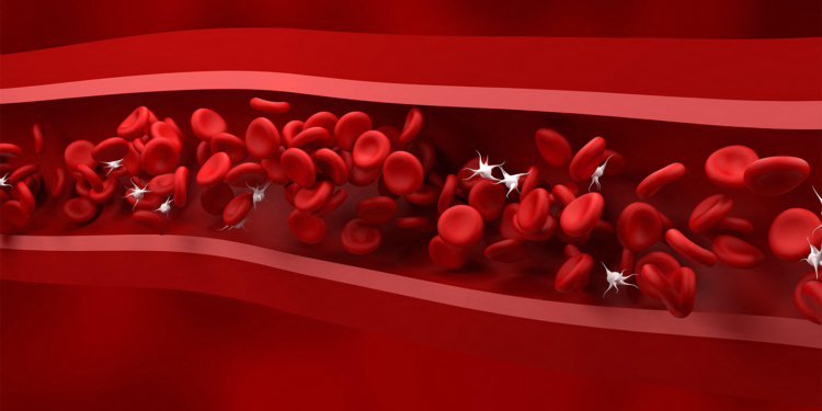 Drug Cuts Treatment Modifications From Chemotherapy-Induced Thrombocytopenia