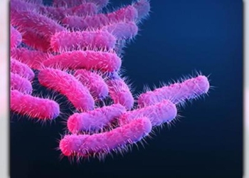 Google Preferred Source