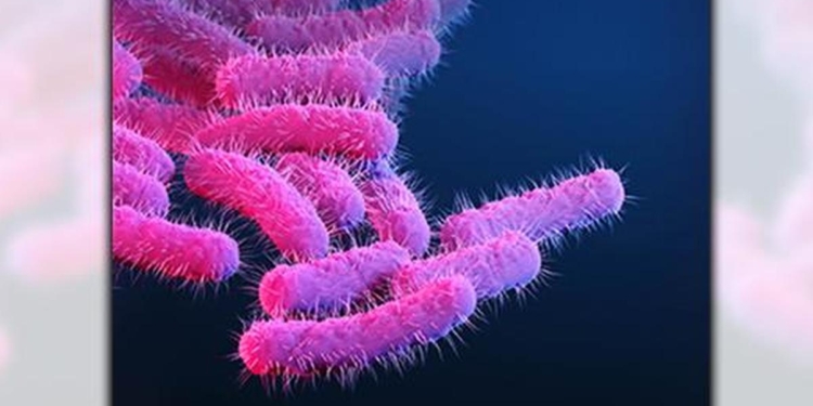 Google Preferred Source