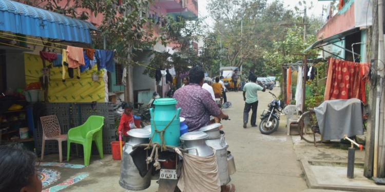 Guidelines issued to check milk adulteration in A.P.