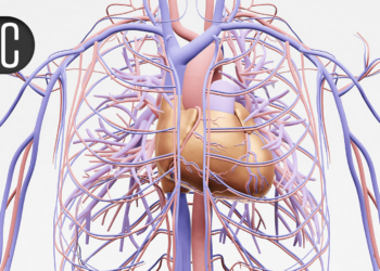 HI-PEITHO Kicks Off 'Golden Era' in Pulmonary Embolism