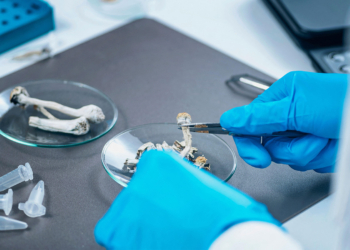 High-Dose Psychedelic Beat Nicotine Patches for Smoking Cessation