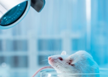 How BioPharma SHAKTI can transform biologics with non-animal models