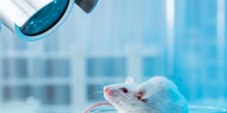 How BioPharma SHAKTI can transform biologics with non-animal models