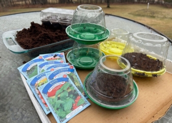 How to save money on garden gear with some creative recycling