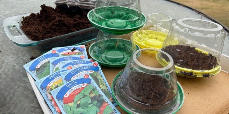 How to save money on garden gear with some creative recycling