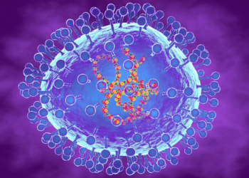 Human Metapneumovirus Is Not the Next COVID