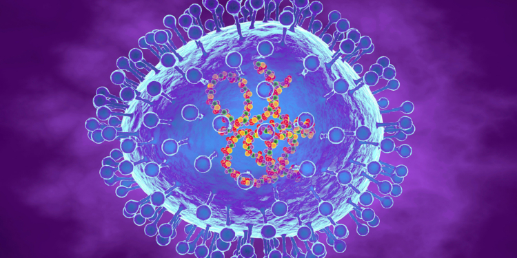 Human Metapneumovirus Is Not the Next COVID