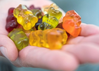 Junk food rewires kids' brains 