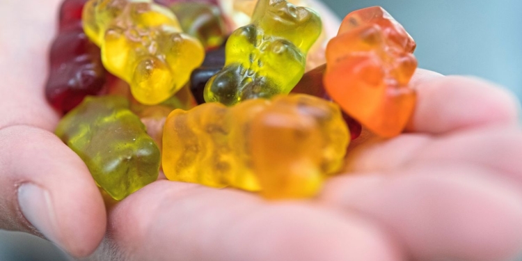 Junk food rewires kids' brains 