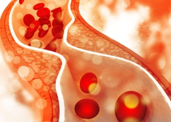 Life-saving numbers: what the 2026 U.S. cholesterol guidelines mean for everyone