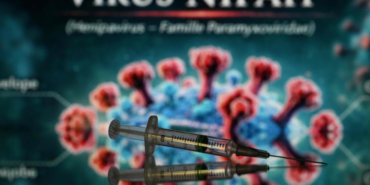 Nipah virus could turn into something “far more severe”, scientists warn