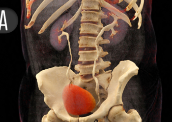 Non-Ablative Treatment for BPH/LUTS Achieves Rapid, Sustained Improvements