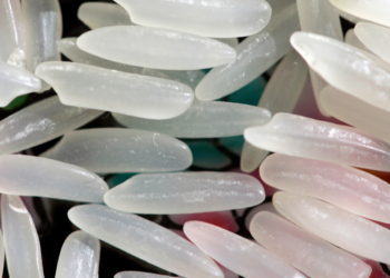 People Are Chilling Their Carbs to Try to Lose Weight