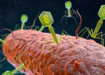 Phage Therapy Promising in Multi-Drug Resistant Infections in Cystic Fibrosis