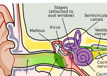 Quiz: On hearing health