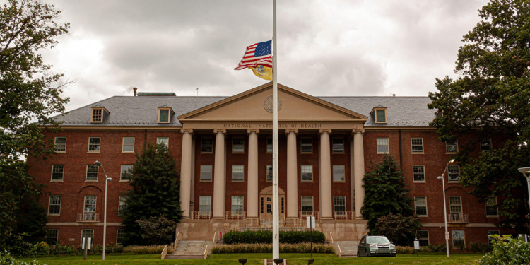 Six Federal Scientists Run Out by Trump Talk About the Work Left Undone