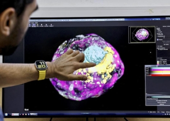 Study finds high consumption of ultra-processed foods linked with reduced fertility in men