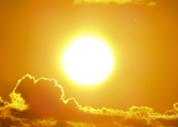 Experts weigh in on Vitamin D production