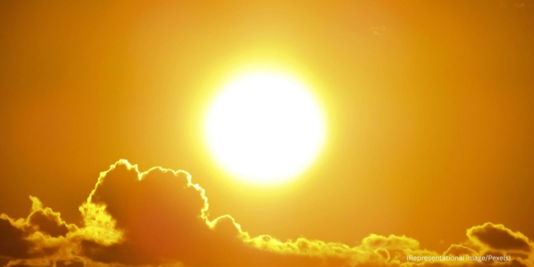 Experts weigh in on Vitamin D production