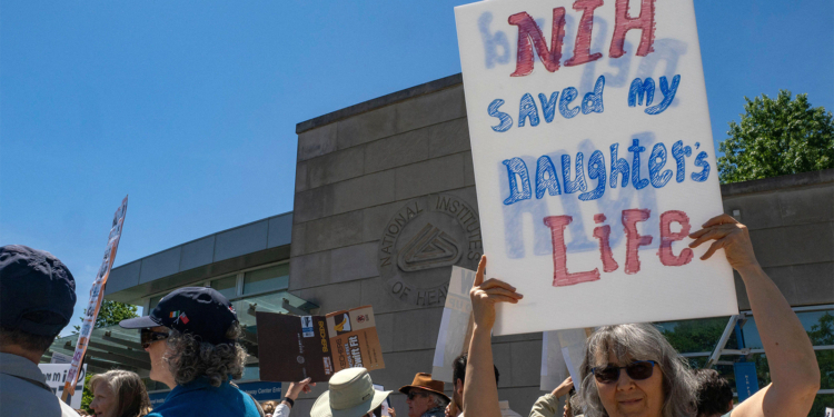 The People — and Research — Lost in the NIH Exodus