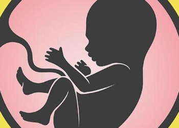 The many and varied medical uses of the placenta