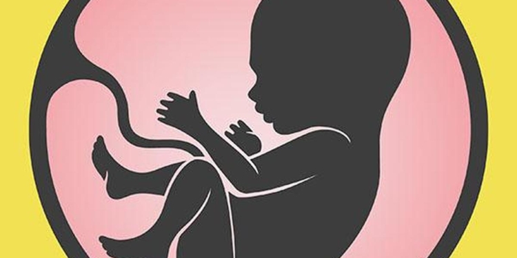 The many and varied medical uses of the placenta