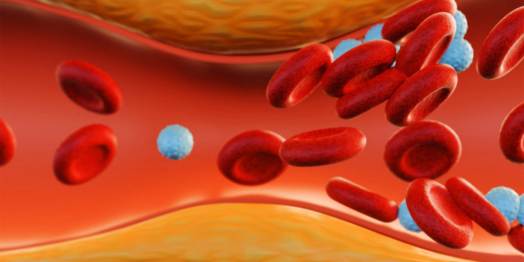 Women Hitting Menopause Before 40 May Face a Long Window of Cardiac Risk