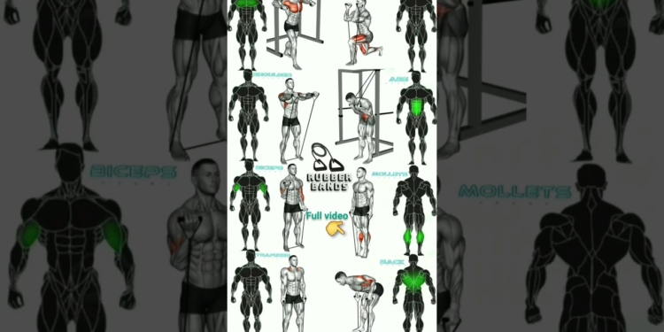 how to use rubber bands #workout #howtouse #rubberbands #full_body_workout