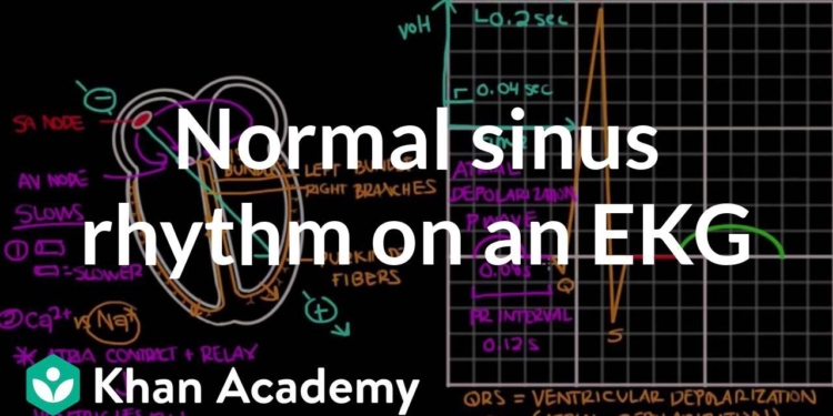 Normal sinus rhythm on an EKG | Circulatory System and Disease | NCLEX-RN | Khan Academy