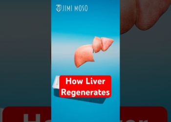 How Your Liver Regenerates If You Donate Partially  #medical #organdonation