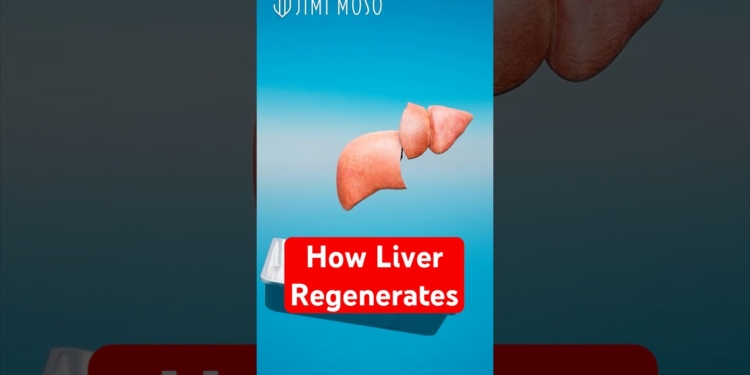 How Your Liver Regenerates If You Donate Partially  #medical #organdonation