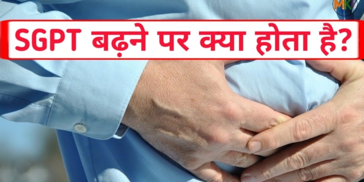 sgpt बढ़ने पर क्या होता है || एसजीपीटी बढ़ने के कारण